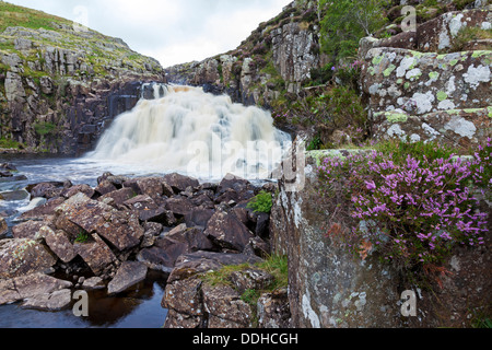 Kessel Schnauze Wasserfall obere Teesdale County Durham UK Stockfoto