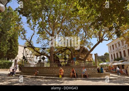 Hippokrates-Platane in Kos-Stadt, Insel Kos, Dodekanes Inselgruppe, Griechenland. Stockfoto