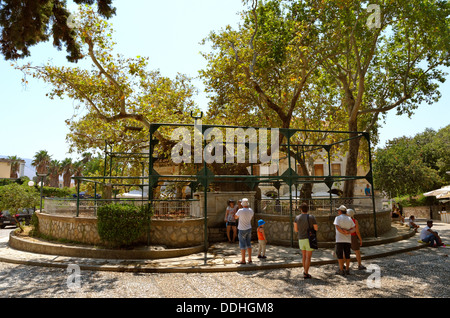 Hippokrates-Platane in Kos-Stadt, Insel Kos, Dodekanes Inselgruppe, Griechenland. Stockfoto