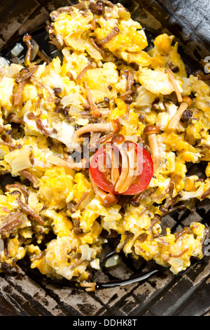 Rührei mit Enoki-Pilze und Zwiebeln in die Pfanne, Nahaufnahme Stockfoto
