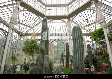 Gewächshaus mit Kakteen, Wilhelma Zoo und Botanischer Garten Stockfoto