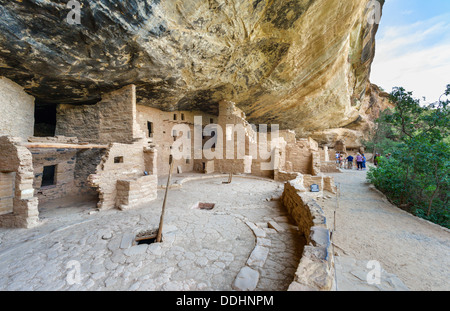 Touristen in den Ruinen des Spruce Tree House, alten Anasazi Pueblo-Wohnungen, Mesa Verde National Park, Cortez, USA. Klippenwohnung. Stockfoto