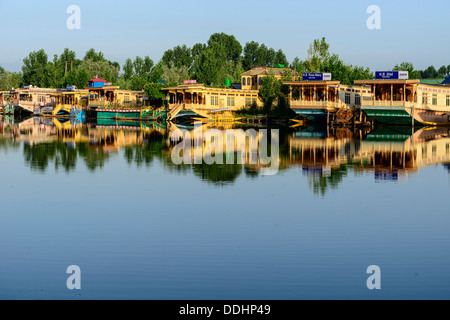 Hausboote auf dem Dal Lake, mit Reflexionen Stockfoto