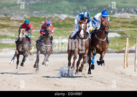 Pferderennen Stockfoto