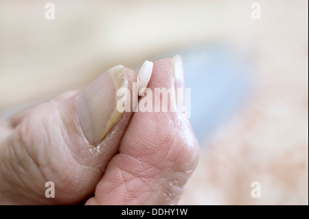 Ältere Frau, die Einnahme einer Tablets Simvastatin (Statine) Medikamente, die die Menge an Cholesterin & Triglyceride im Körper reduziert Stockfoto