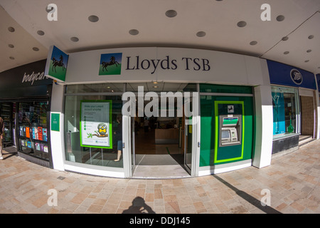 Lloyds TSB Bank Stockfoto