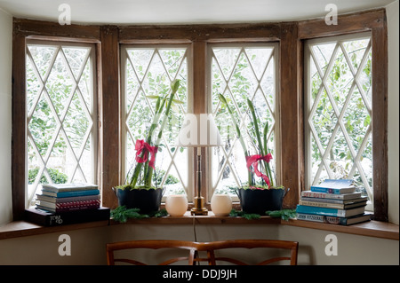 Bücher und Topfpflanzen auf dem Fensterbrett ein Diamant paned Fenster Stockfoto