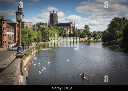 Ruderer auf dem Fluss Severn mit Blick auf Worcester Kathedrale Stockfoto
