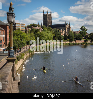 Ruderer auf dem Fluss Severn mit Blick auf Worcester Kathedrale Stockfoto