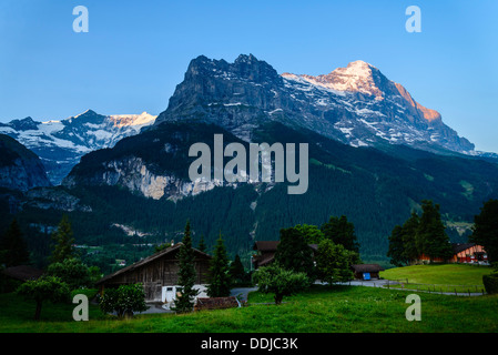 Aussicht auf den Eiger Grindelwald, Schweiz im frühen Morgenlicht. Das Fiescherhorn ist auch gesehen weiter hinten Stockfoto