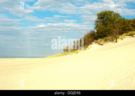 STRAND INDIANA DUNES STATE PARK DÜNEN-STAATSANGEHÖRIGER LAKESHORE PORTER LAKE MICHIGAN INDIANA USA Stockfoto