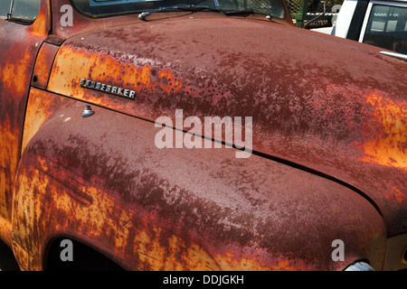 Detaillierte Nahaufnahme einer 1949 Studebaker Pickup-Truck. zeigen Abzeichen auf Motorhaube. Stockfoto