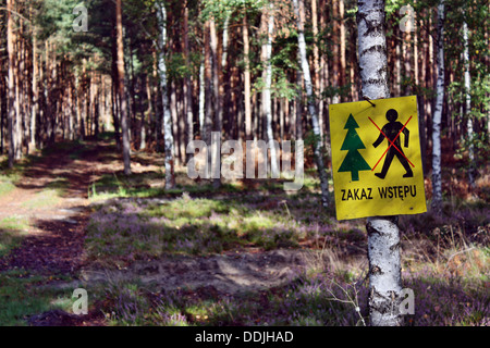 Gefahr im Wald Stockfoto