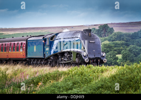 Sir Nigel Gresley auf die North York Moors railway Stockfoto