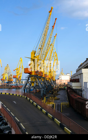 Werft. Handel mit Seehafen mit Kranen in Odessa Stockfoto