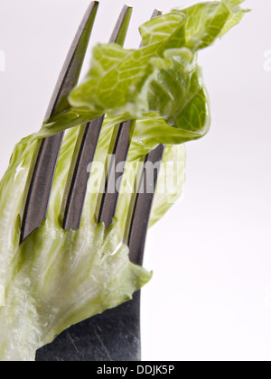 Ein Stück Salat ist auf eine aufrechte Gabel geschlagen. Stockfoto