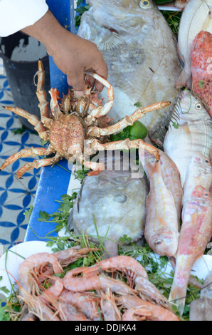 Fisch und Meeresfrüchte Auswahl in den Fischmarkt, Essaouira Marokko Afrika Stockfoto