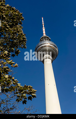 Alex Fernsehturm am Alexanderplatz im Herbst, Berlin Stockfoto