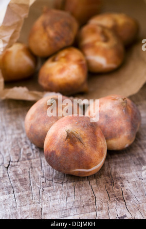 Tasche von Tulipa "Rot Impression" Glühbirnen, bereit für die Bepflanzung. Stockfoto