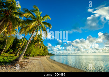 COOK-Inseln: verlassenen tropischen weißen Sandstrand mit türkisfarbenem Wasser und Palmen in Amuri, Aitutaki Insel - Südpazifik Stockfoto