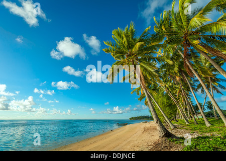 COOK INSELN - Tropisches Inselparadies mit weißem Sandstrand, türkisfarbenes Wasser und Palmen - Aitutaki Island - South Pacific Ocean Stockfoto