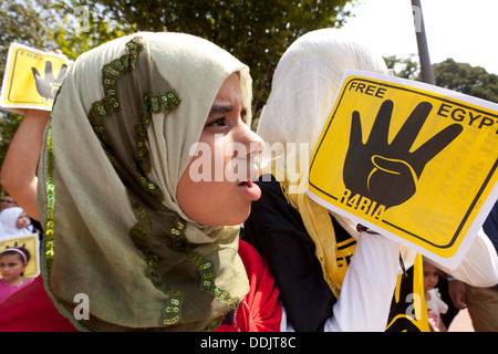 Pro Mursi Ägypter rally in Washington, DC USA Stockfoto