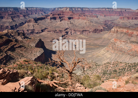 Der Blick von Cedar Ridge auf dem Kaibab Trail, Grand Canyon Nationalpark in Arizona Stockfoto