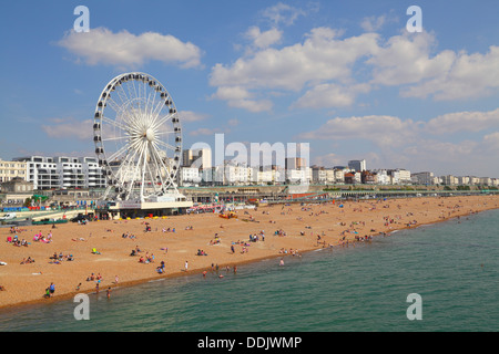 Strand von Brighton, East Sussex, England, UK Stockfoto