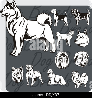 Hunderassen - Vinyl-ready Illustration Stockfoto