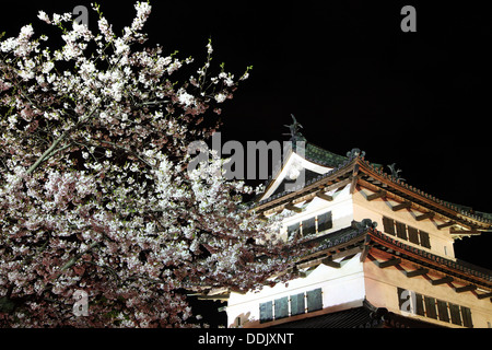 Leuchten von Hirosaki Schloss und Kirschblüten, Aomori, Japan Stockfoto