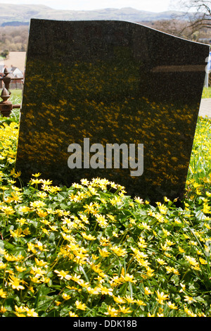 Kleinen Celandines (Ranunculus Ficaria) blüht in einem Kirchhof mit einem polierten Marmor Grabstein. Stockfoto