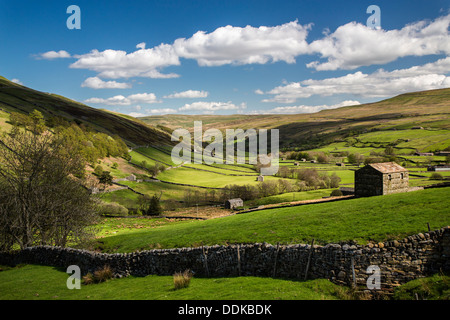 Oberen Swaledale nahe Thwaite, Yorkshire Dales National Park Stockfoto