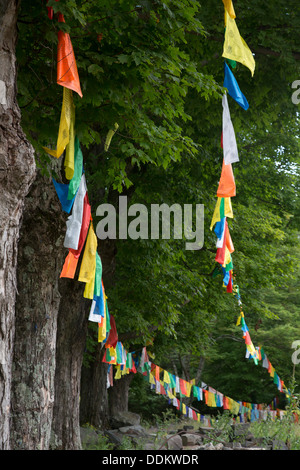 Gebetsfahnen außerhalb des Karma Triyana Dharmachakra, ein tibetisch-buddhistischen Kloster in den Catskill Mountains. Stockfoto