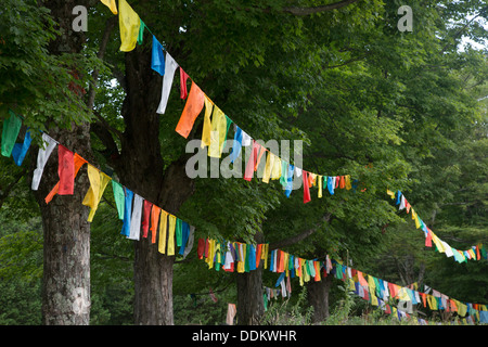 Gebetsfahnen außerhalb des Karma Triyana Dharmachakra, ein tibetisch-buddhistischen Kloster in den Catskill Mountains. Stockfoto