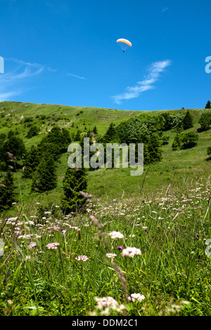 Gleitschirm fliegen über Velka Fatra, Donovaly in der Slowakei Stockfoto