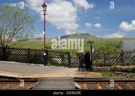 Der Pennine Way Wanderweg nach Pen-y-Gent Überquerung der Schienenverkehrs verfolgen bei Horton in Ribblesdale, Yorkshire Dales National Park, England Stockfoto