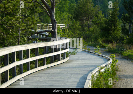 Eine Promenade schlängelt sich durch Bognor Marsh und bietet Besuchern einen malerischen Weg, um die natürliche Schönheit der Gegend zu erkunden. Stockfoto