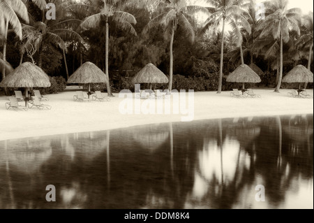 Sonnenschirme und Liegestühle am Lagunenstrand. Bora Bora. Französisch-Polynesien. Stockfoto