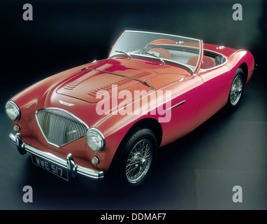 1956 Austin Healey 100-BN 2. Artist: Unbekannt Stockfoto