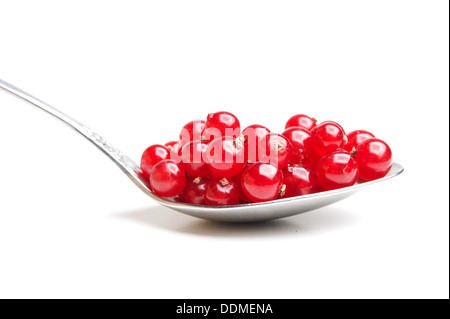 rote Beeren Johannisbeeren in Löffel isoliert auf weißem Hintergrund Stockfoto