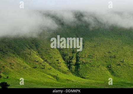 Wolke überrollen Ngorongoro Krater, Tansania-Sammlung Stockfoto