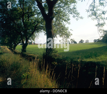 Northallerton Schlachtfeld, North Yorkshire, 1994. Künstler: John Critchley Stockfoto