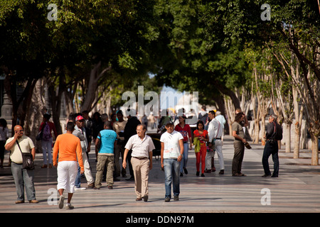 Fußgänger zu Fuß auf Paseo del Prado, Havanna, Kuba, Karibik Stockfoto