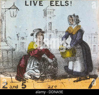 "Live Aale!", Schreie von London, c1840. Künstler: TH Jones Stockfoto