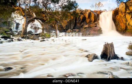 Schöne Nigretta Falls Wasserfall in westlichen Victoria, Australien mit high-Flow während der Winterzeit im Zeitraffer Stockfoto