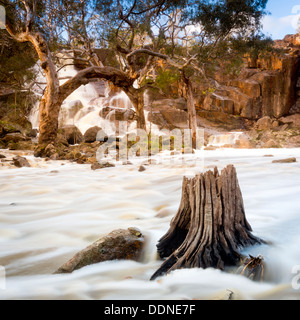 Schöne Nigretta Falls Wasserfall in westlichen Victoria, Australien mit high-Flow während der Winterzeit im Zeitraffer Stockfoto