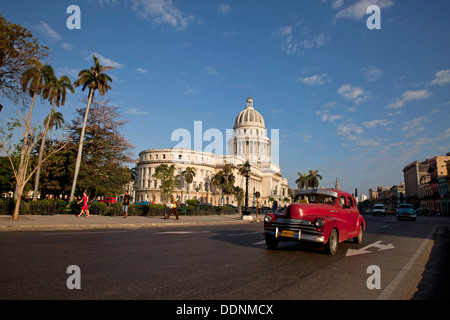 klassische US Car und El Capitolio in zentralen Havanna, Kuba, Karibik Stockfoto