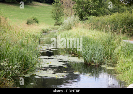 Die ruhigen Montgomery Kanal, Powys, Wales, UK Stockfoto