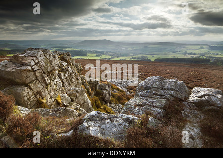 Stiperstones National Nature Reserve, Shropshire, England, UK Stockfoto