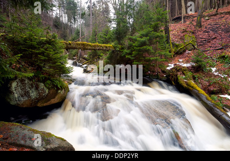 schnell Bergen Fluss in Bergen, Harz, Deutschland Stockfoto